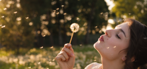 Insertables de leña